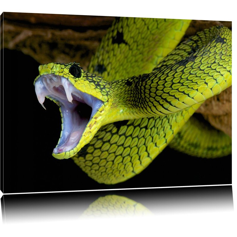 East Urban Home Leinwandbild Giftige grüne Schlange | Wayfair.de